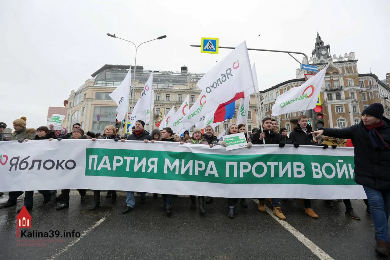 Эксперты считают, что регистрацию федерального списка «Яблока» могли допустить, чтобы направить протестные настроения в безопасное русло; при этом многие известные политики партии не были допущены к участию.