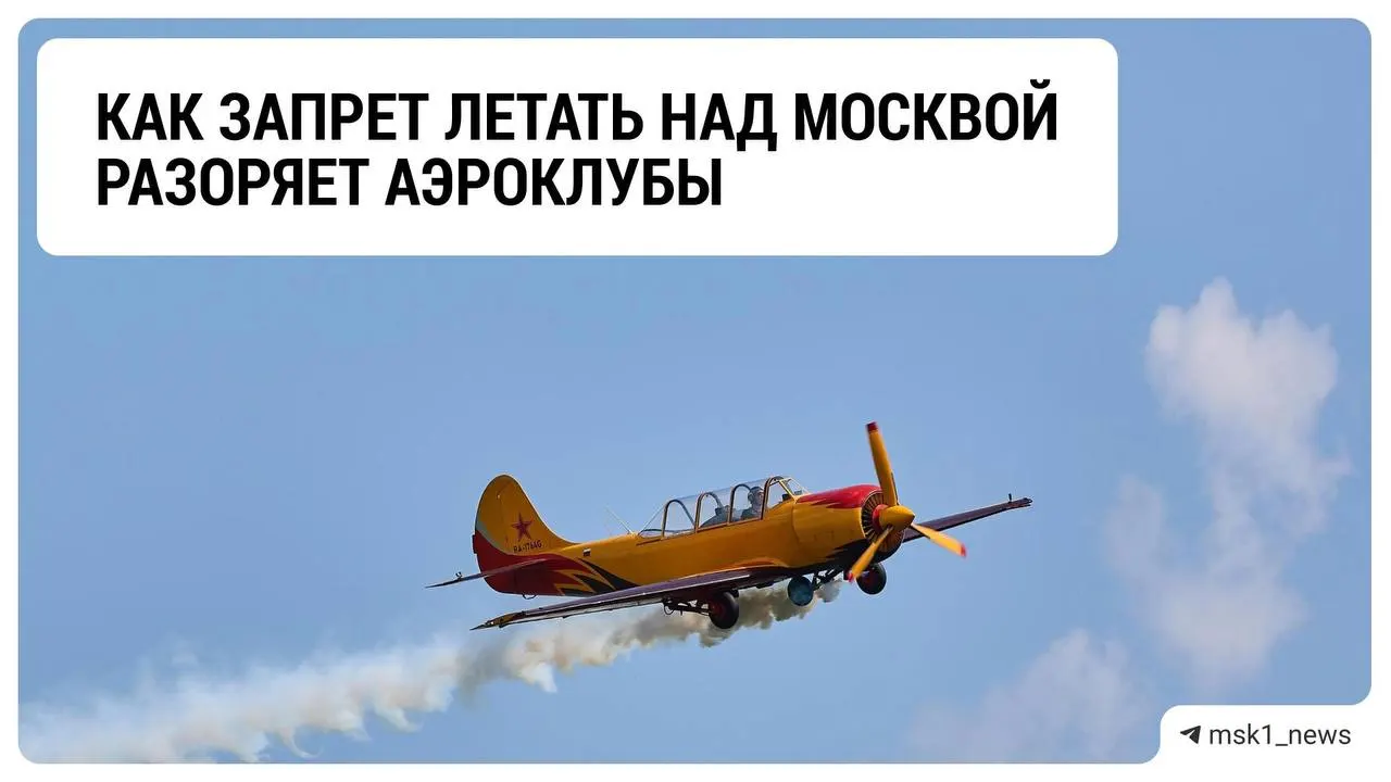 Ограничения на полёты над столицей повлияли на доходы аэроклубов Подмосковья и вынудили искать способы пережить зиму.