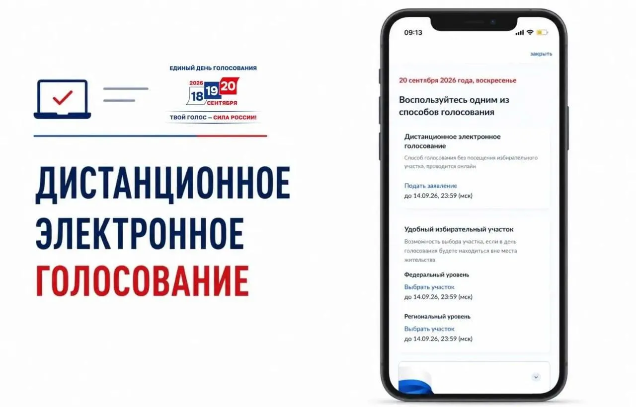 Открылась подача заявлений на участие в дистанционном электронном голосовании через госуслуги; сохраняется критика новой системы и её прозрачности.