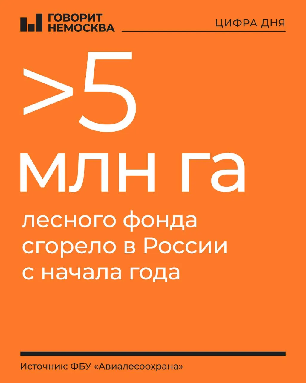 За год в России зафиксировано 7 982 лесных пожара; крупнейшие очаги — Дальний Восток и Сибирь; напряжённая ситуация в Ямало-Ненецком округе, Якутии и Красноярском крае.