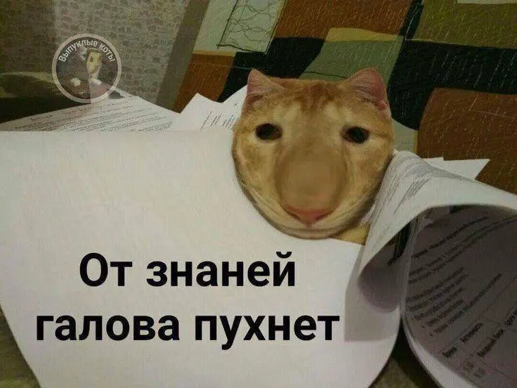 В этом году норматив по управлению небольшим дроном хотят ввести в тестовом режиме, а с следующего года знак ГТО по этому испытанию смогут получить все желающие по всей стране.