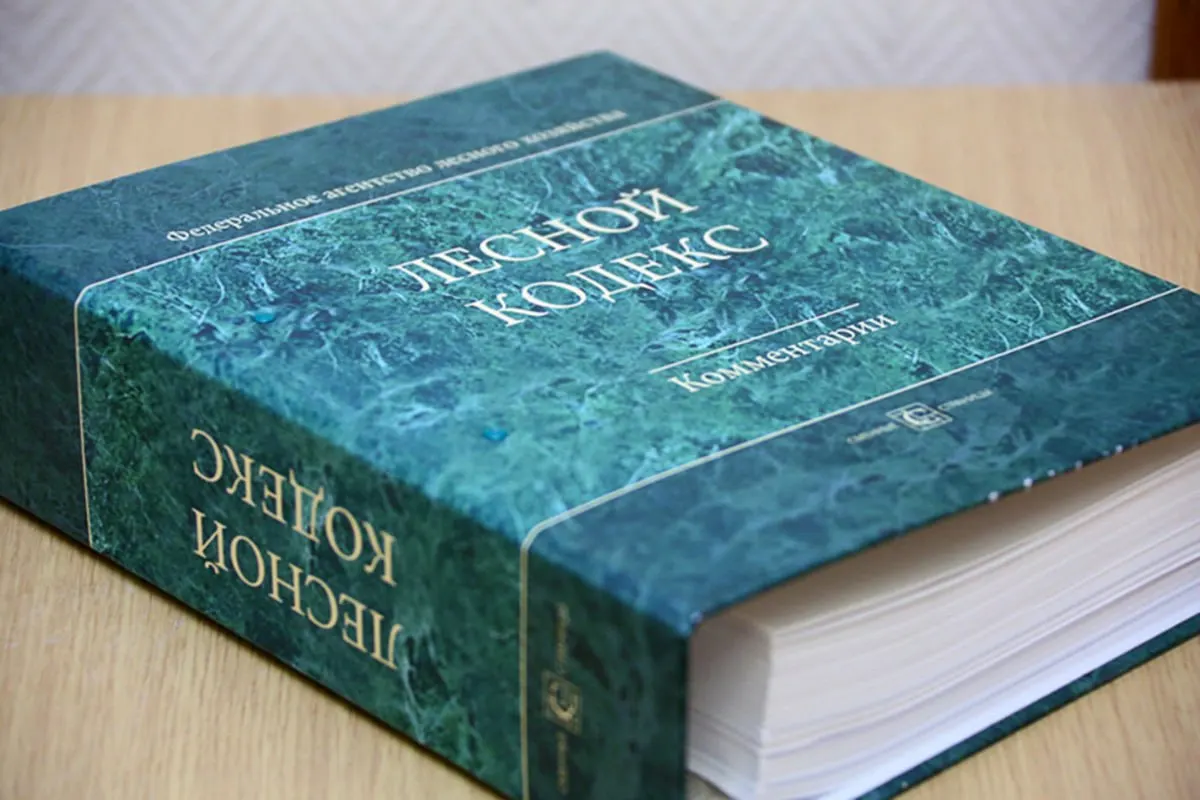 С момента принятия в 2006 году в Лесной кодекс внесли 79 наборов поправок, из‑за чего документ фактически стал новым. Эксперт по лесам считает, что кодекс устарел и требует коренной переработки и значительного упрощения.