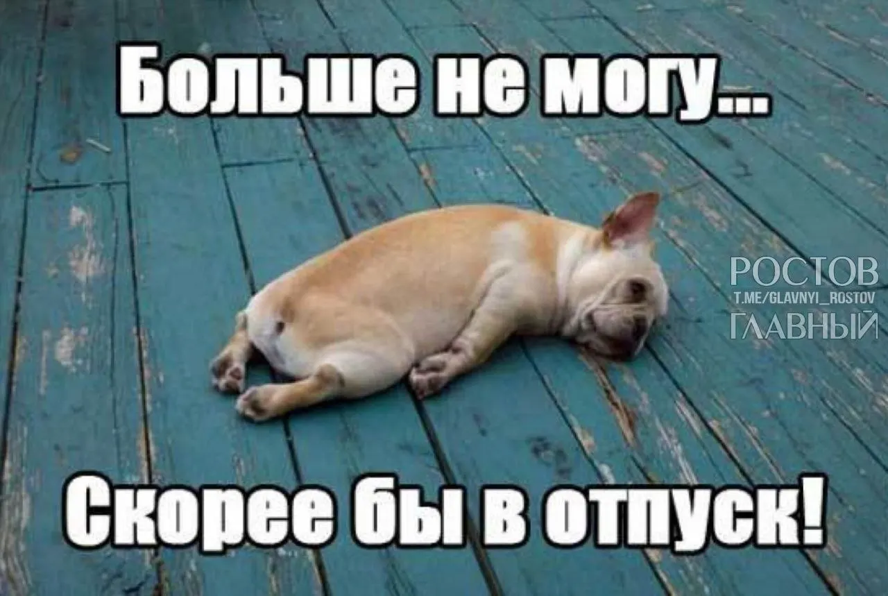 В Госдуме предложили повысить минимальную продолжительность ежегодного отпуска с 28 до 35 дней, чтобы компенсировать включённые в отпуск выходные и снизить риск профессионального выгорания.