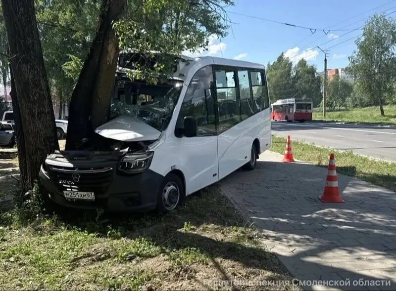 Микроавтобус маршрута №47 съехал в кювет и врезался в дерево на Краснинском шоссе. По предварительным данным, водитель потерял сознание; одна пассажирка погибла, пятеро пострадали.