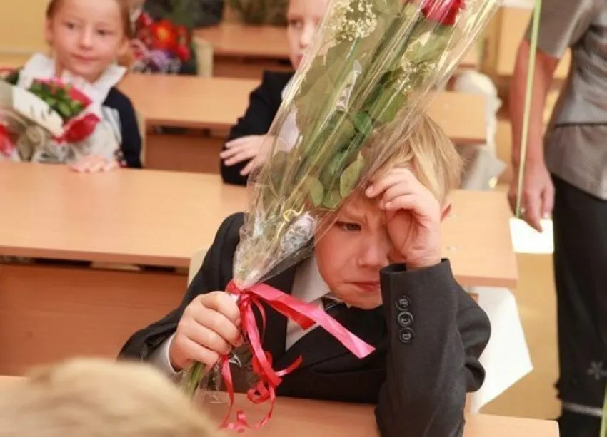 Замглавы Минпросвещения подтвердил, что 11 лет — оптимальный срок для школьного образования; сокращать или увеличивать его сейчас не планируют.