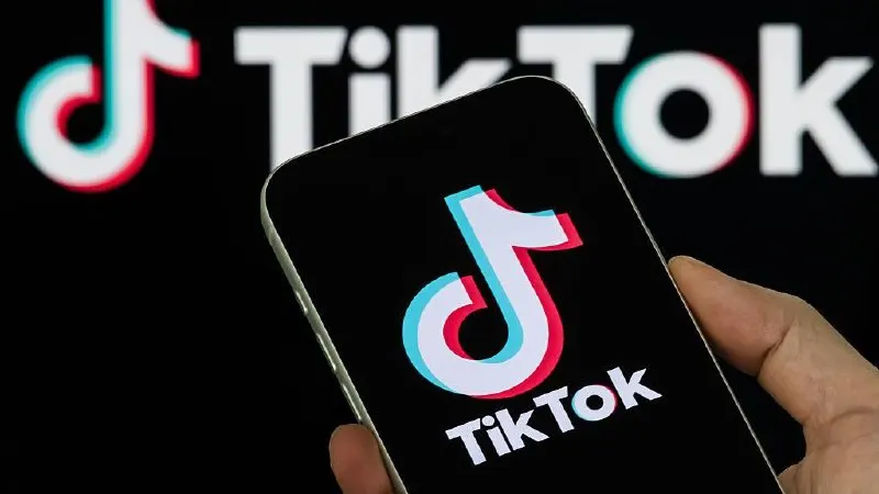 Платформу наказали за то, что она не удалила два ролика, признанных содержащими «пропаганду нетрадиционных сексуальных отношений». В примечании — решение Верховного Суда о запрете так называемого «Международного движения ЛГБТ» как экстремистской организации.
