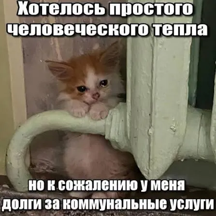 Суд подтвердил, что по взносам на капитальный ремонт действует трёхлетний срок исковой давности — задолженности старше этого срока нельзя принудительно взыскивать через платёжки.