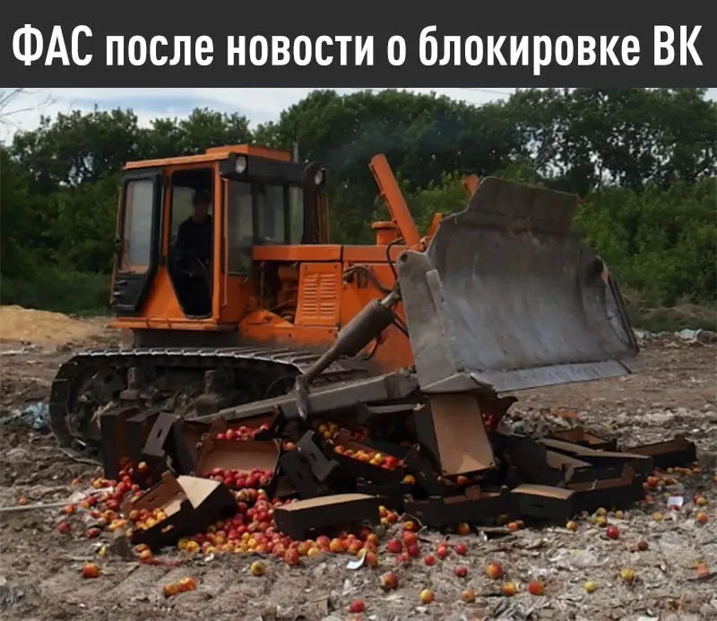 Федеральная антимонопольная служба выдала предупреждение Apple: до 15 июля нужно устранить «дискриминационные» условия в отношении российских поисковых систем и предустановить отечественное ПО, иначе последует дело и штраф.