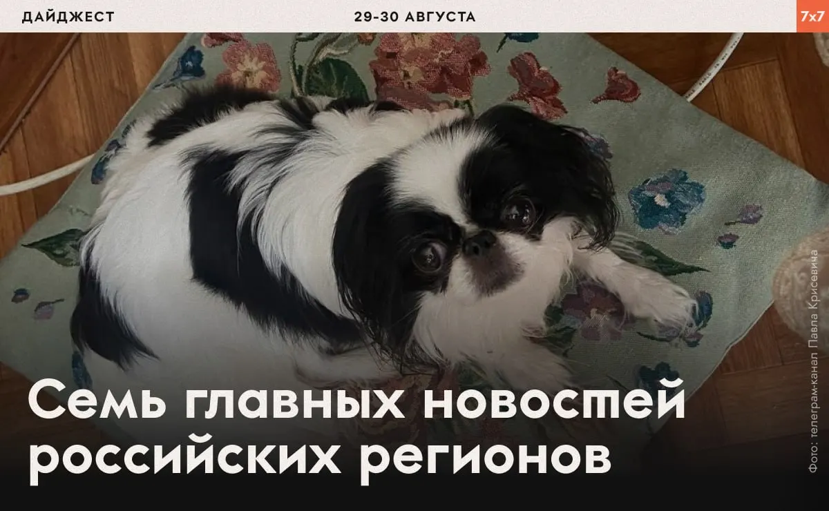 Сводка по регионам: аресты, давление на активистов и запреты на политическую агитацию в нескольких регионах.