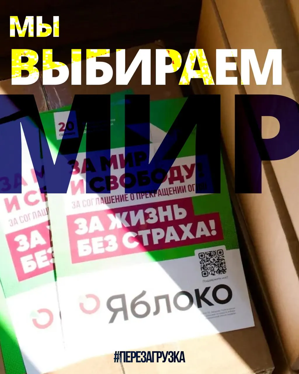 В 53 регионах идёт кампания 135 кандидатов; 14 августа ожидается апелляция по делу о снятии федерального списка; поддержка растёт, россияне за границей выражают солидарность, и 20 сентября — день выбора мира.