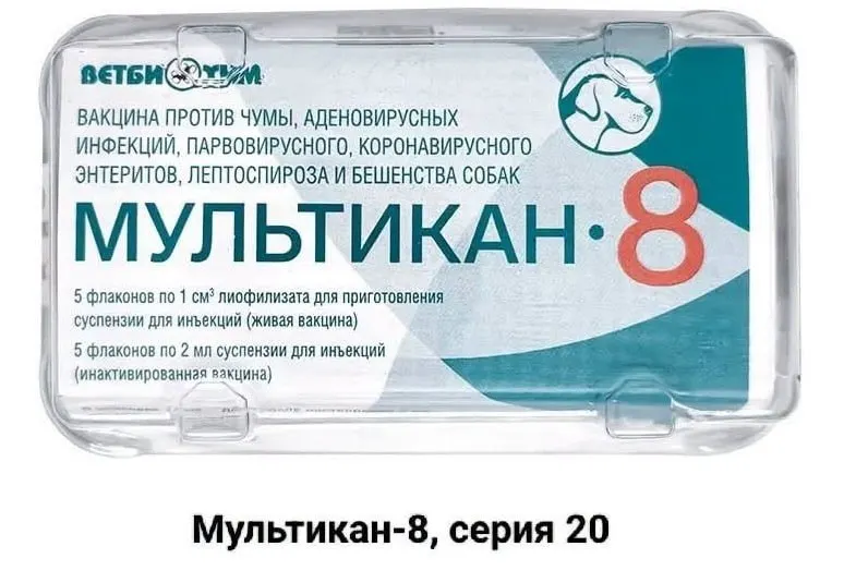 Владельцы собак, погибших после прививки препаратом Мультикан-8, требуют прозрачного расследования и открытой проверки фактов по всей России.