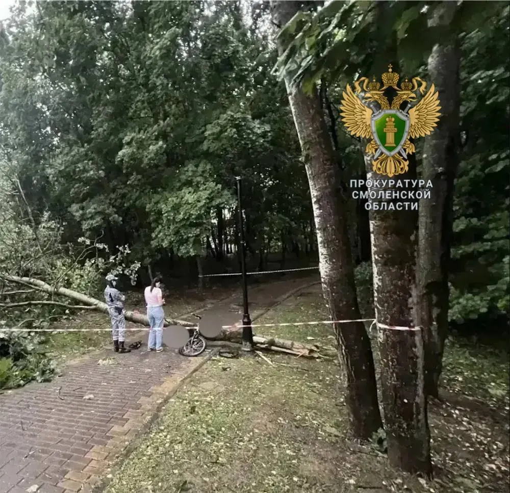 Из‑за непогоды в регионе погибли двое людей; введён режим чрезвычайной ситуации, идут перебои с электроэнергией и разрушения.