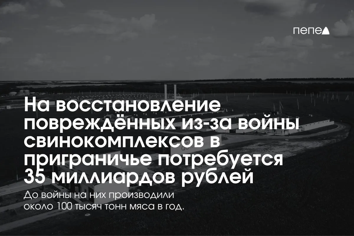 Затраты на безопасность, защиту объектов и возобновление производства свинины обсуждаются в Белгородской, Курской и Брянской областях после обстрелов и атак беспилотников.
